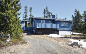 3 Bedroom Amazing Home In Sjusjøen